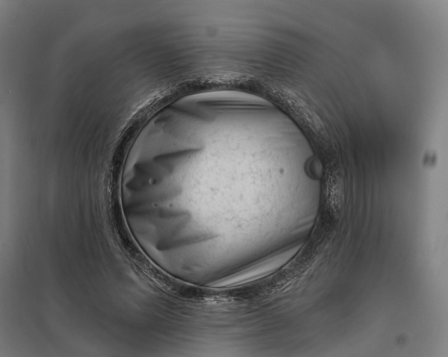 X0000097850591200803281251