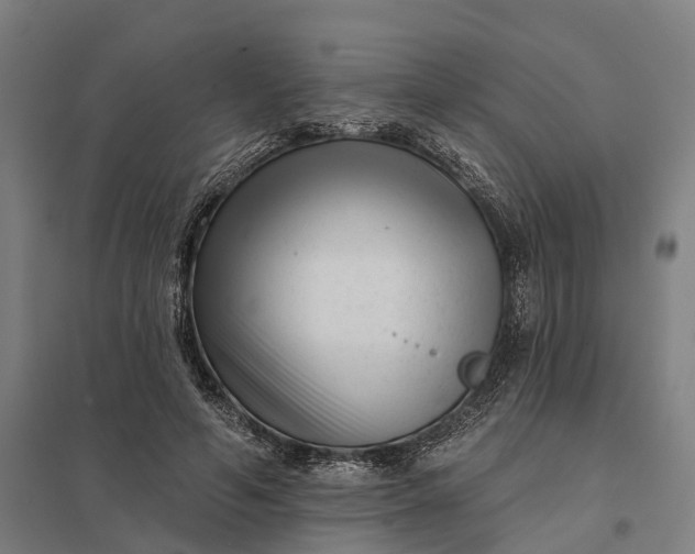 X0000097850594200803281251