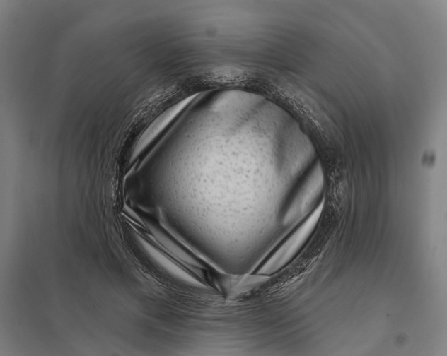 X0000097850597200803281251