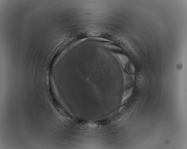 X0000097850598200803281251