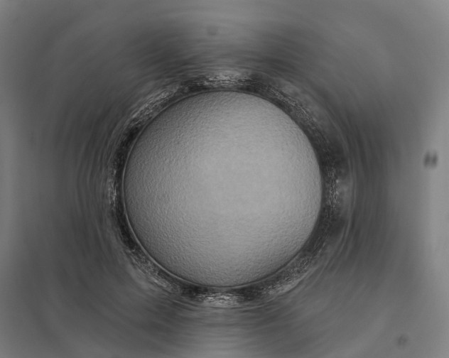 X0000097850599200803281250