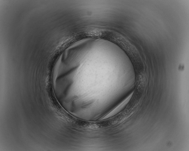 X0000097850600200803281250