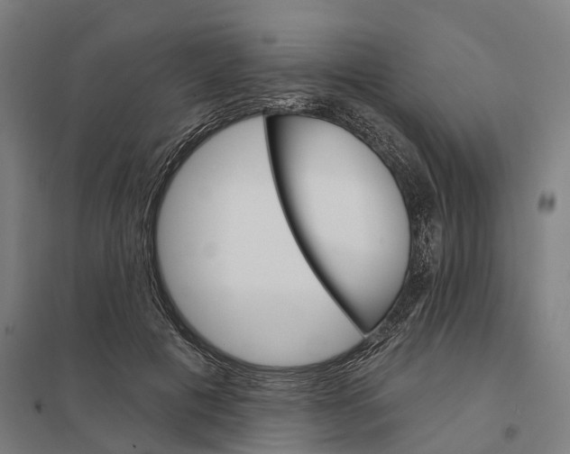 X0000097850601200803281250