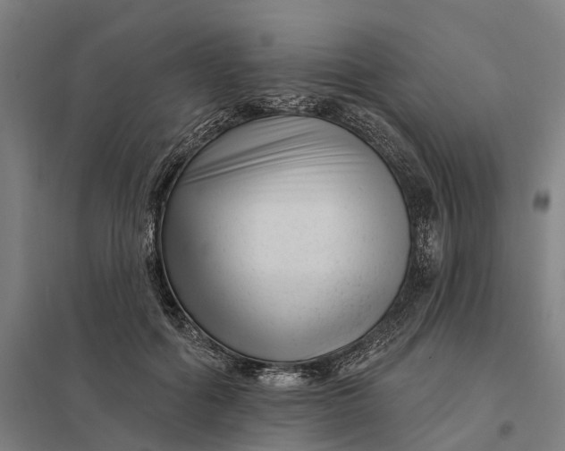 X0000097850602200803281250