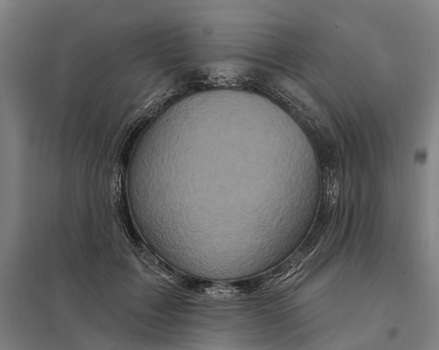 X0000097850603200803281250