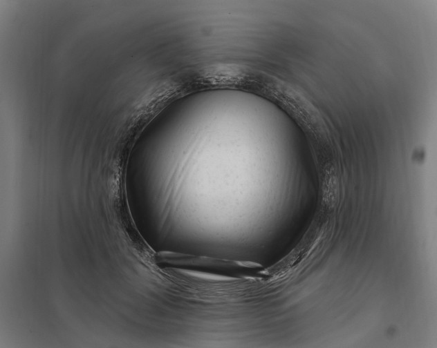 X0000097850604200803281250