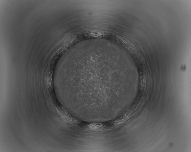 X0000097850606200803281250