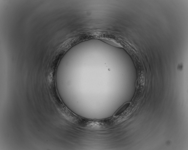 X0000097850611200803281250