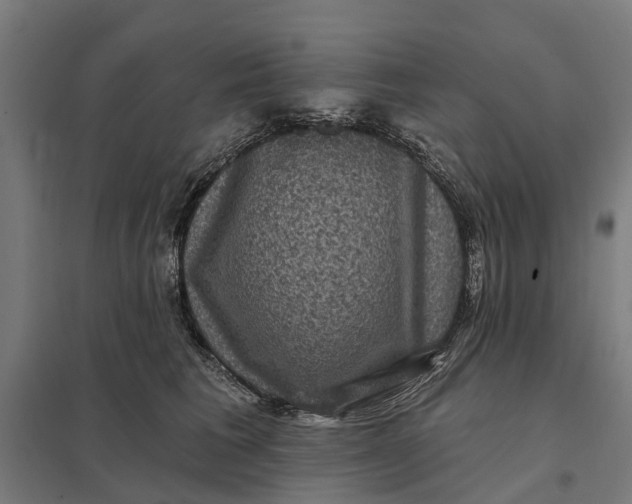 X0000097850613200803281250