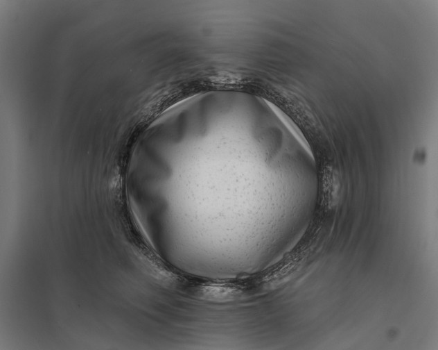 X0000097850614200803281250