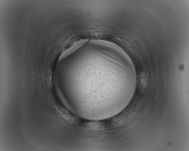 X0000097850615200803281250