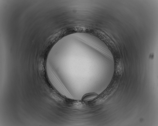 X0000097850616200803281250