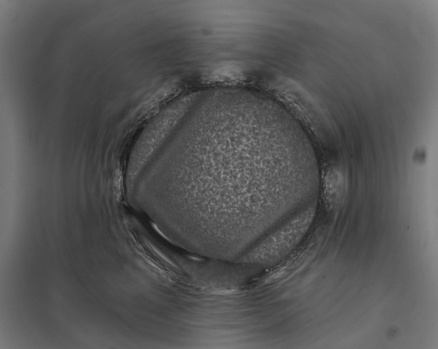 X0000097850617200803281250