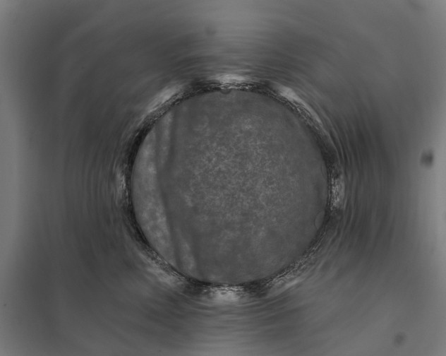 X0000097850618200803281250