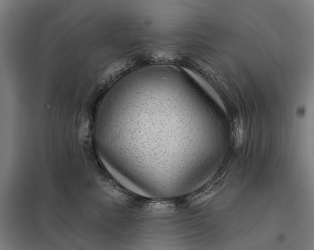 X0000097850619200803281250