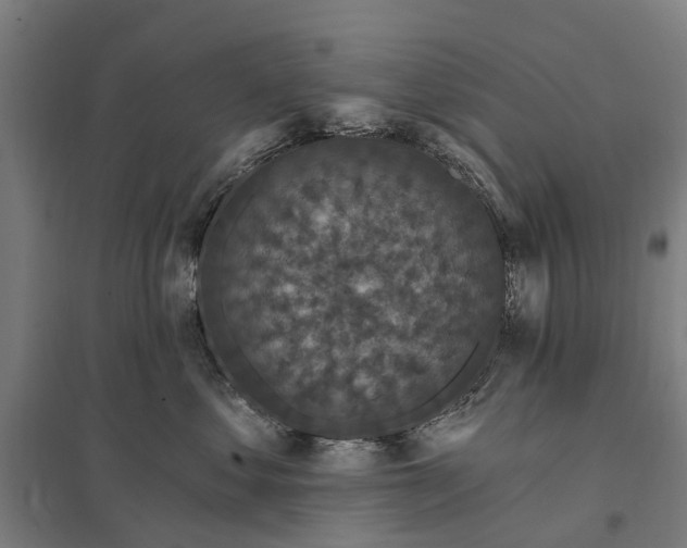 X0000097850621200803281250