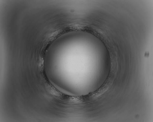 X0000097850624200803281250