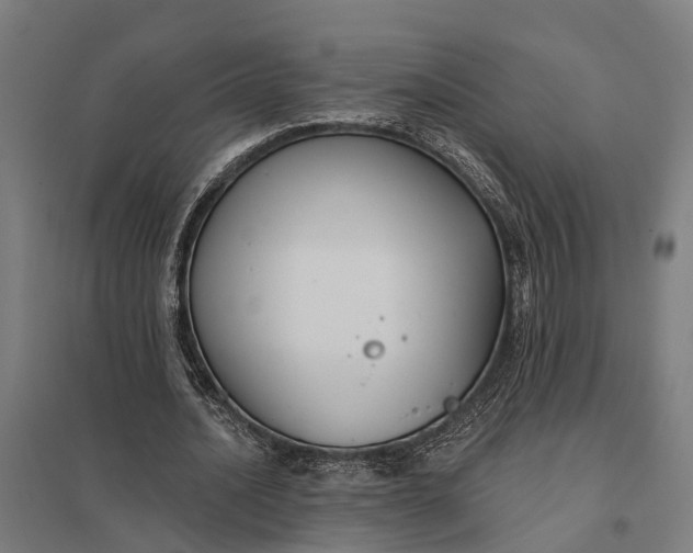 X0000097850628200803281249