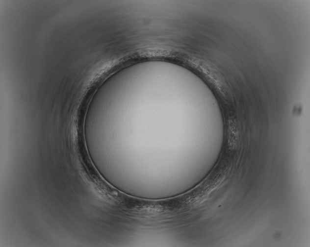 X0000097850631200803281249