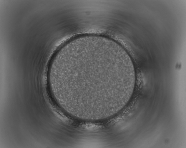 X0000097850632200803281249