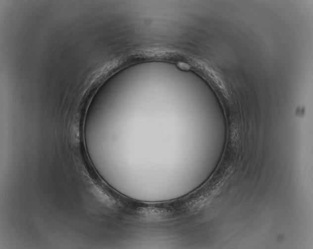 X0000097850633200803281249