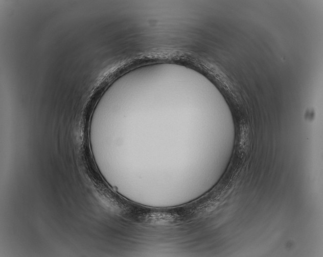 X0000097850636200803281249