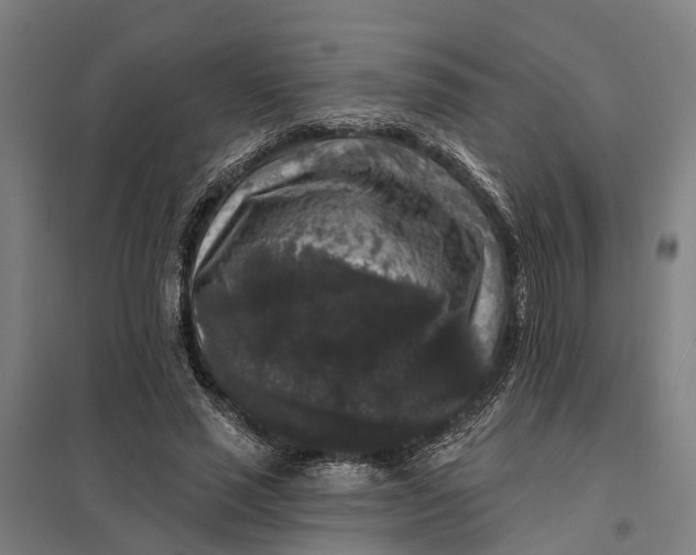 X0000097850637200803281249