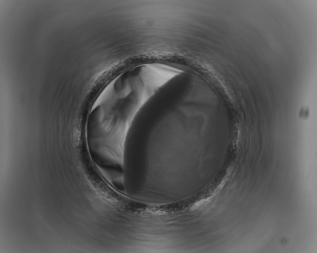 X0000097850640200803281250