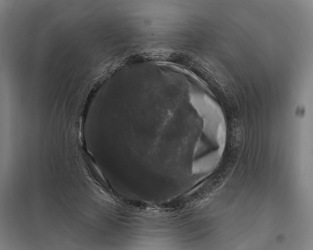 X0000097850641200803281250