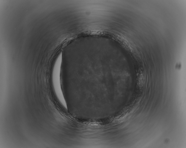 X0000097850643200803281250