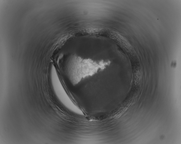 X0000097850644200803281250