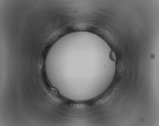 X0000097850645200803281250