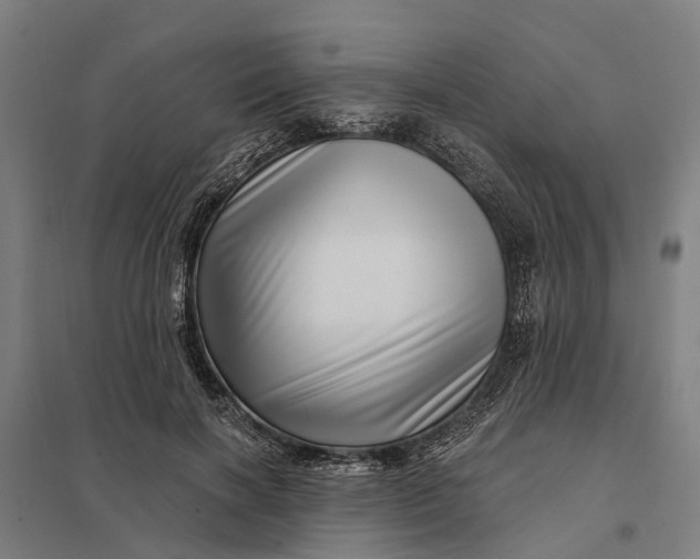 X0000097850646200803281250