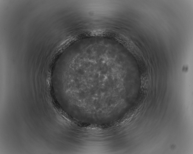 X0000097850648200803281250