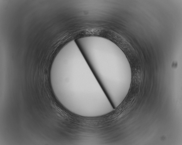 X0000097850649200803281250