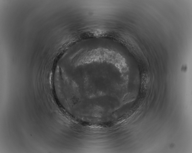 X0000097850650200803281250