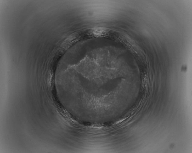 X0000097850651200803281250