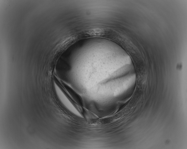 X0000097850652200803281250