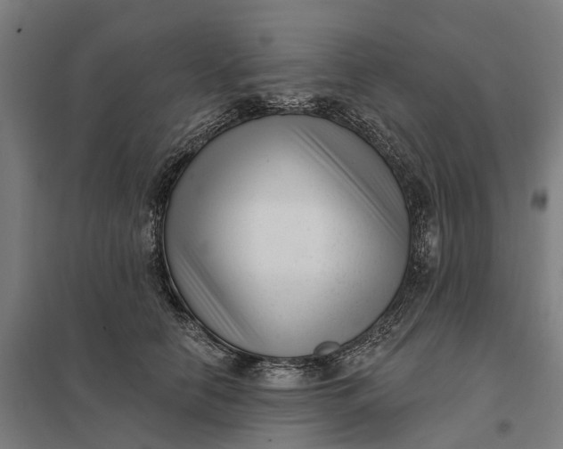 X0000097850658200803281250