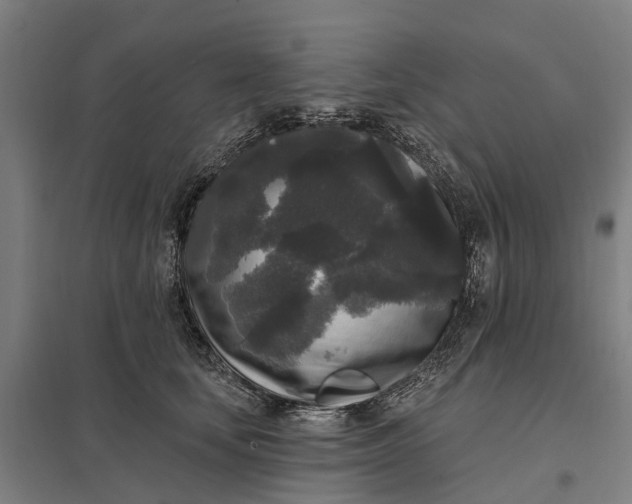 X0000097850659200803281250