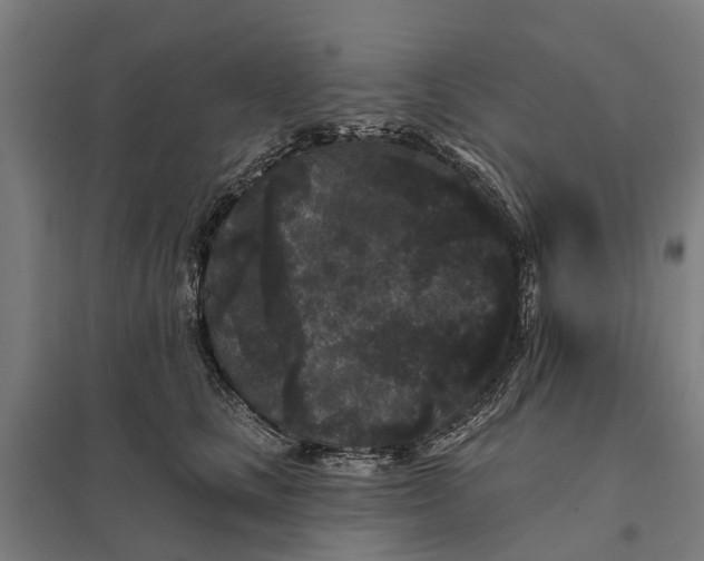 X0000097850661200803281250