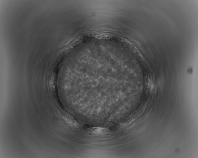 X0000097850663200803281250