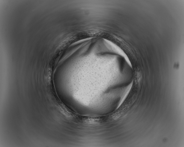 X0000097850664200803281250