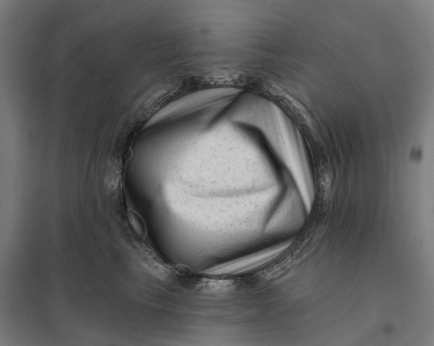 X0000097850665200803281250