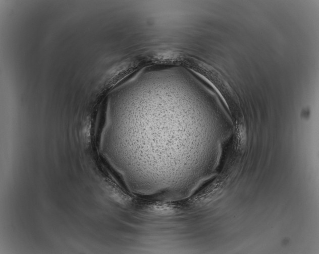 X0000097850668200803281250