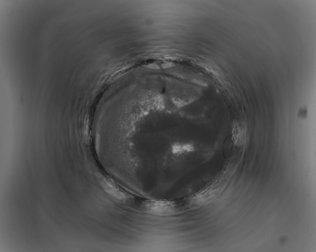 X0000097850670200803281250