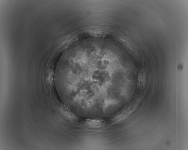 X0000097850671200803281250