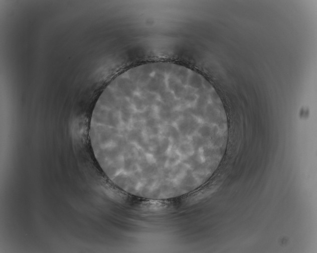 X0000097850672200803281250