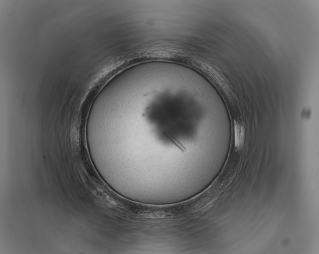 X0000097850675200803281249