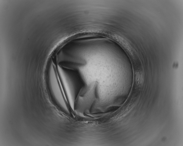 X0000097850676200803281249